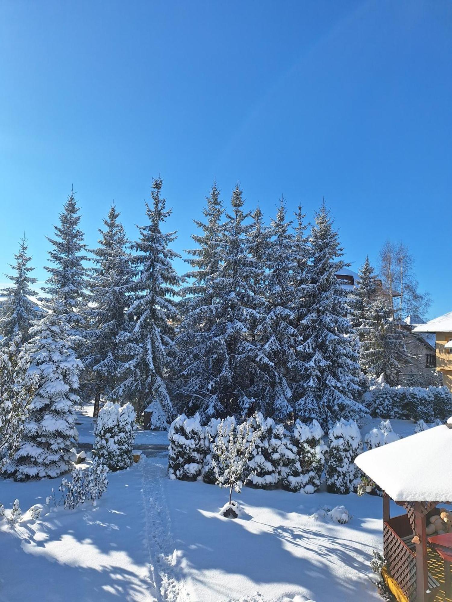 Apartmani Nika Zlatibor Eksteriør billede